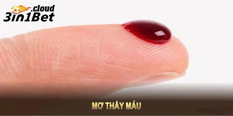 Giải mã ý nghĩa khi mơ thấy máu